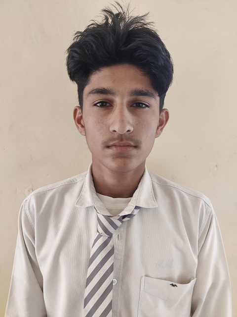 ROVIN